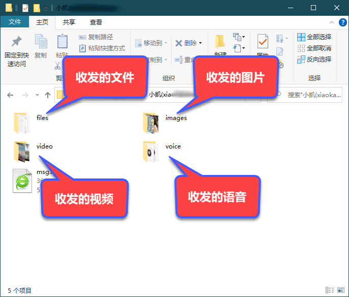 樓月電腦版微信聊天記錄導出軟件截圖